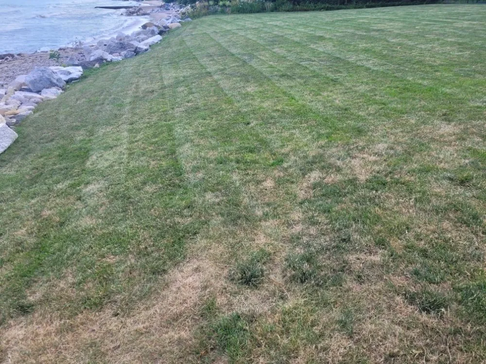 Expert yard maintenance for homes in Milwaukee, WI by Deam Green