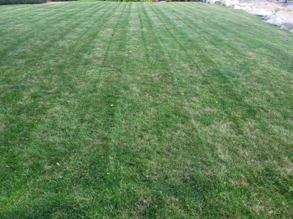 Professional garden landscaping in Milwaukee, WI - Deam Green