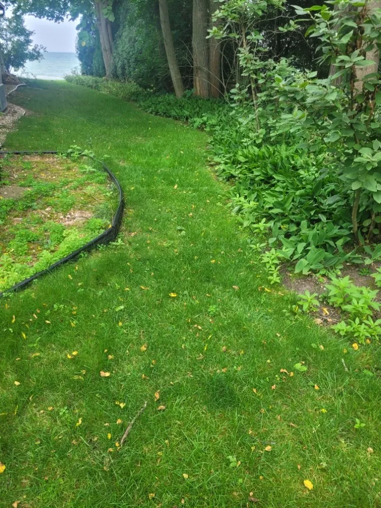 Professional landscaping services experts serving Milwaukee, WI - Deam Green