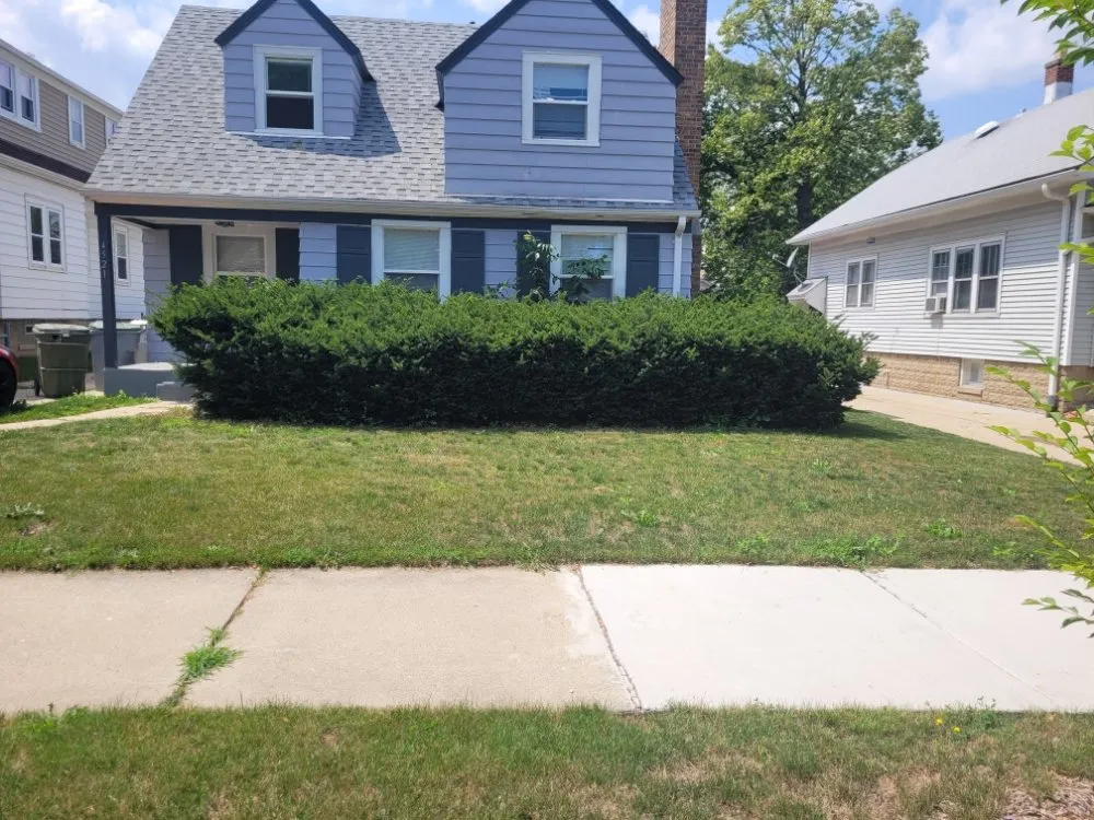 Custom lawn care service for outdoor upgrades in Milwaukee, WI by Deam Green