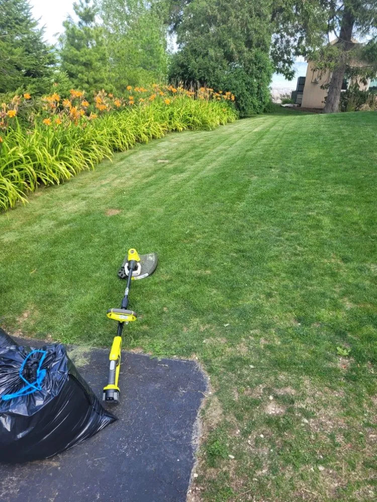 Affordable landscape installation in Milwaukee, WI by Deam Green