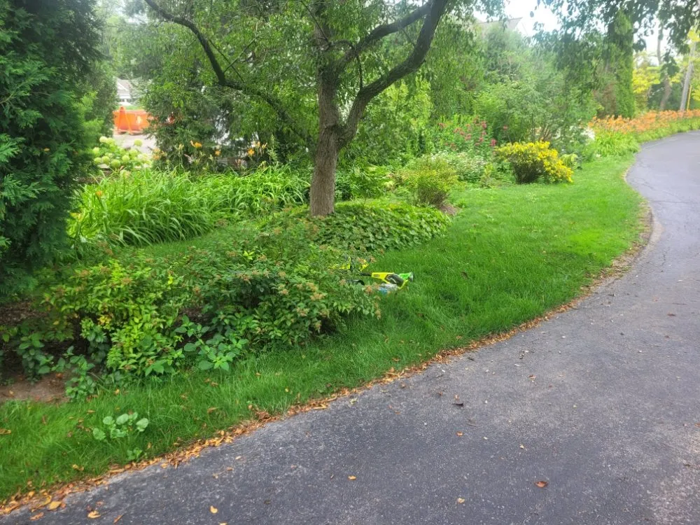 Custom yard maintenance experts serving Milwaukee, WI - Deam Green