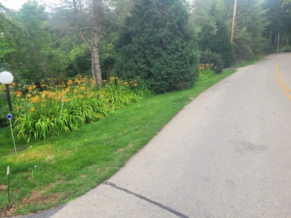 Reliable residential landscaping in Milwaukee, WI - Deam Green