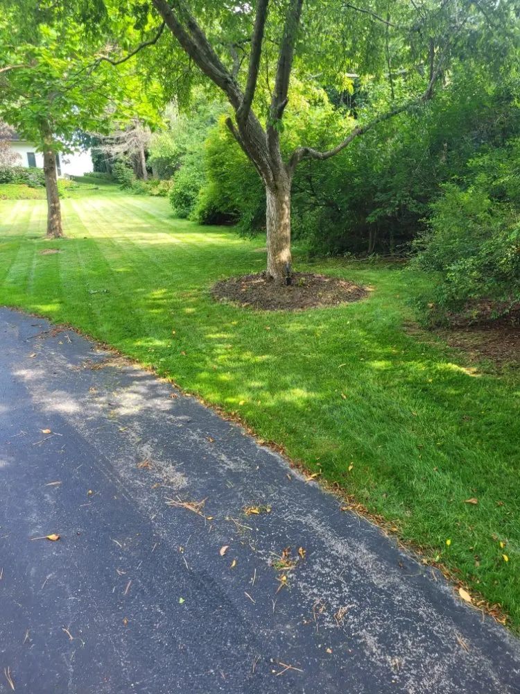 Trusted outdoor landscaping experts serving Milwaukee, WI - Deam Green