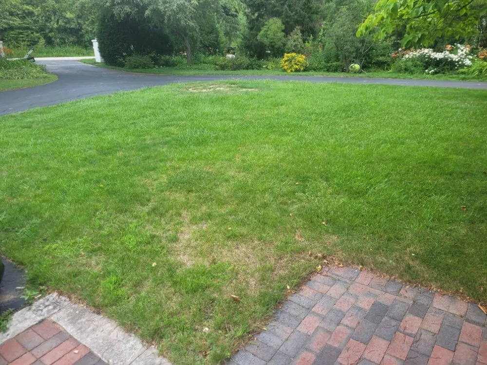 Affordable yard cleanup service in Milwaukee, WI - Deam Green