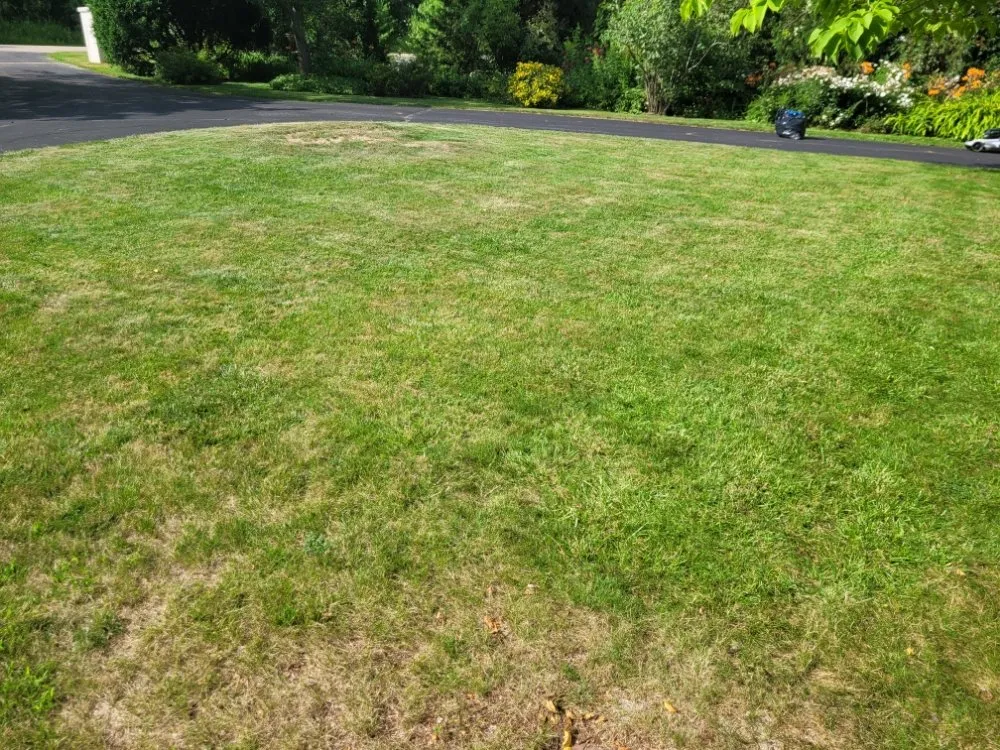 Top-rated yard maintenance for homes across Milwaukee, WI - Deam Green