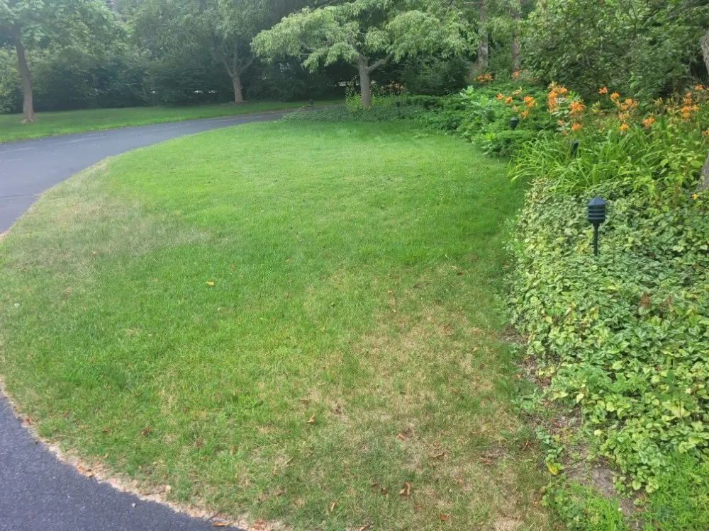 Top-rated residential landscaping in Milwaukee, WI - Deam Green