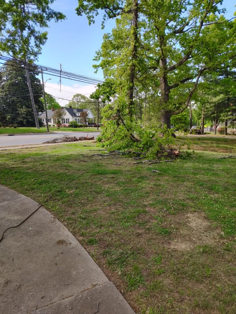 Top-rated residential landscaping for year-round maintenance across Salisbury, NC - Dean Diamondback Services