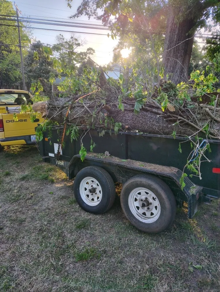Local residential landscaping in Salisbury, NC by Dean Diamondback Services