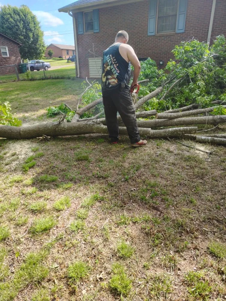 Local outdoor landscaping in Salisbury, NC by Dean Diamondback Services