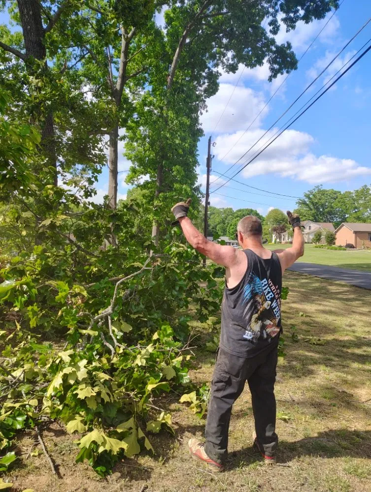 Affordable landscaping services experts serving Salisbury, NC - Dean Diamondback Services