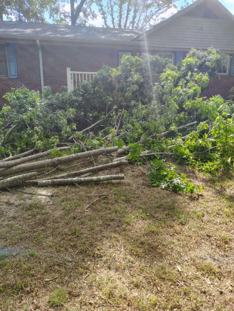 Trusted yard cleanup service for beautiful yards across Salisbury, NC - Dean Diamondback Services