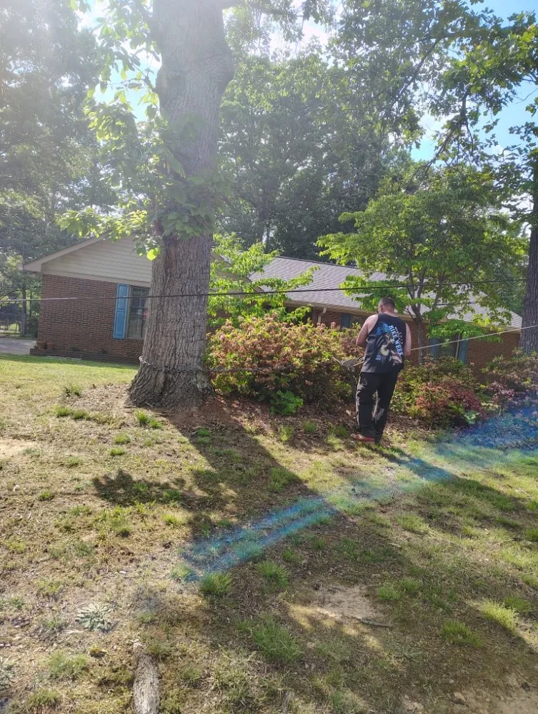 Expert outdoor landscaping experts serving Salisbury, NC - Dean Diamondback Services