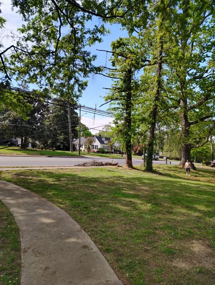 Custom landscaping services for residential properties across Salisbury, NC - Dean Diamondback Services