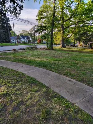 Dean Diamondback Services Logo