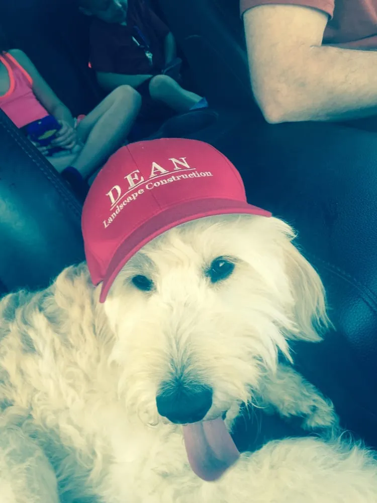 Local landscaping services for residential properties in Plain City, OH by Dean Landscape Construction