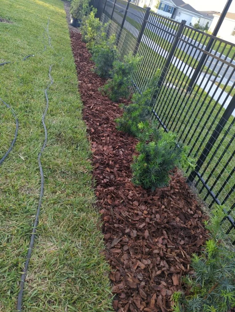 Professional yard maintenance in Ormond Beach, FL - Dean Schmaltz Landscaping & Pressure Washing