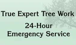Affordable residential landscaping near you in Pittsburgh, PA by Dean Thomas Tree Service