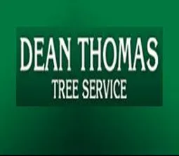 Trusted yard maintenance experts serving Pittsburgh, PA - Dean Thomas Tree Service