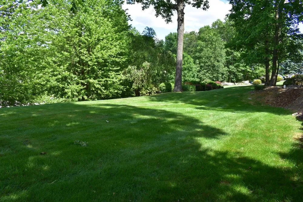 Trusted lawn care service in Mendham, NJ by DeAndrea Land & Stone