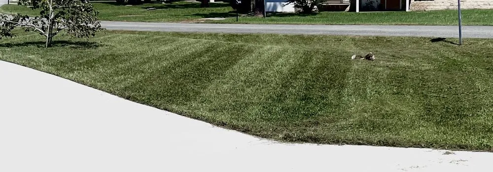 Affordable lawn mowing service in Ocklawaha, FL by Deanna’s Lawn Care