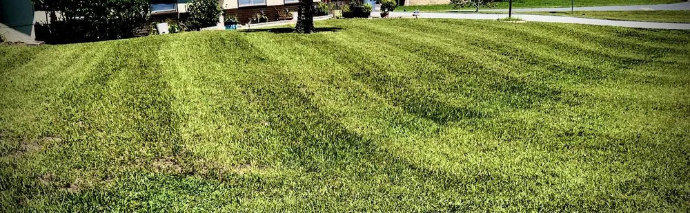 Expert garden landscaping for outdoor upgrades in Ocklawaha, FL by Deanna’s Lawn Care