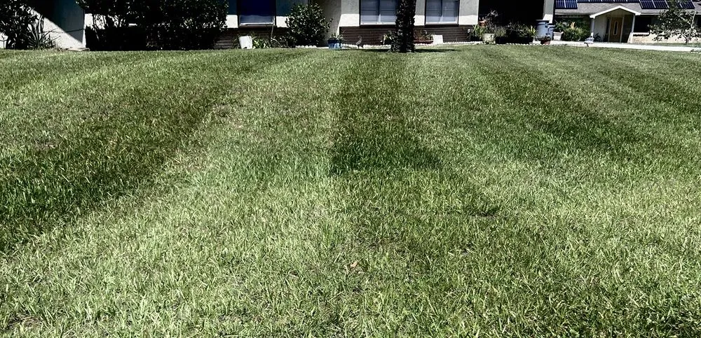 Custom yard cleanup service with custom design across Ocklawaha, FL - Deanna’s Lawn Care