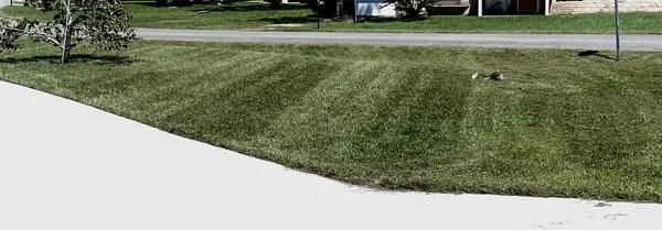 Deanna’s Lawn Care Logo