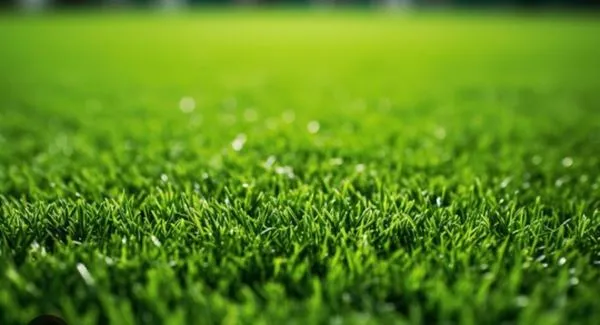 Deano & Associates Logo