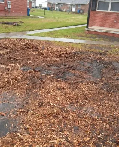 Professional yard cleanup service for outdoor upgrades across Creedmoor, NC - Dean's Lawn Care