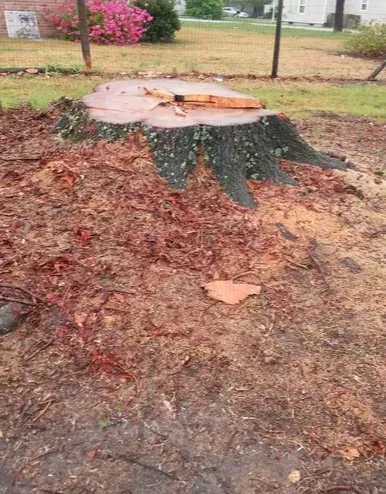 Reliable lawn care service in Creedmoor, NC by Dean's Lawn Care