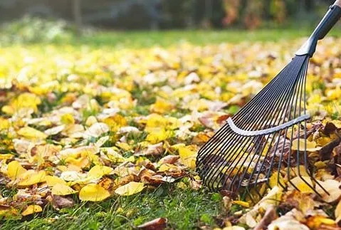 Top-rated lawn care service experts serving South Lyon, MI - Deans Lawn Care