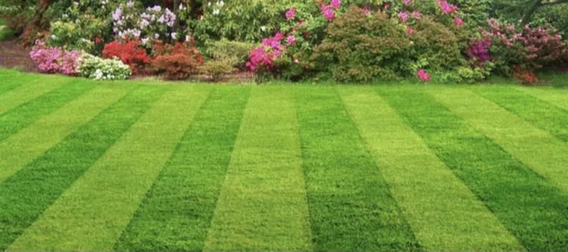 Reliable landscape installation with custom design across Lilburn, GA - Deans Lawn Maintenance