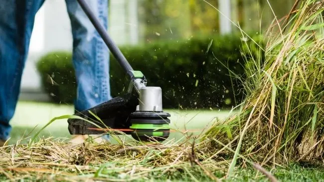 Local outdoor landscaping experts serving Jacksonville, FL - Dean's Lawncare