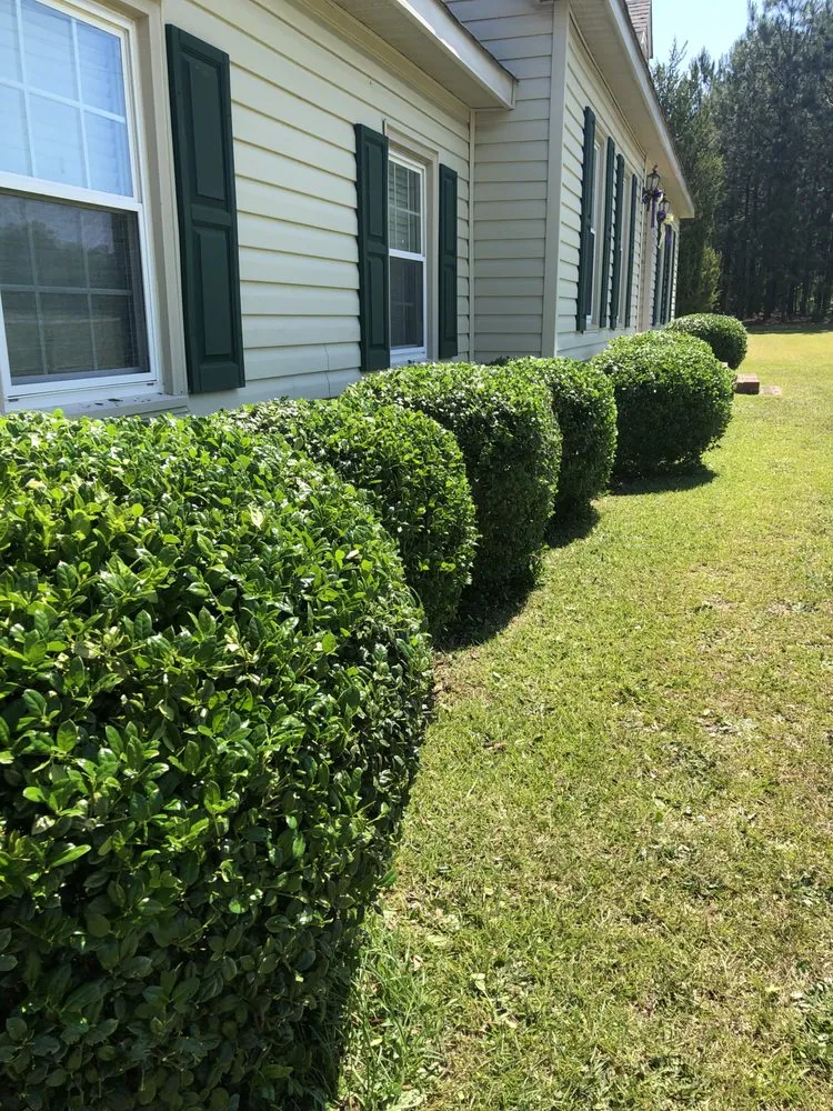 Local outdoor landscaping for outdoor upgrades in Sanford, NC by Dean’s Lawncare