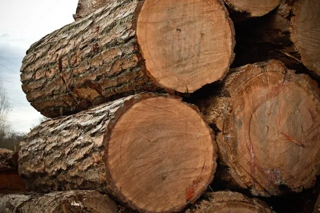 Professional outdoor landscaping for residential properties in Portland, OR by Dean's Residential