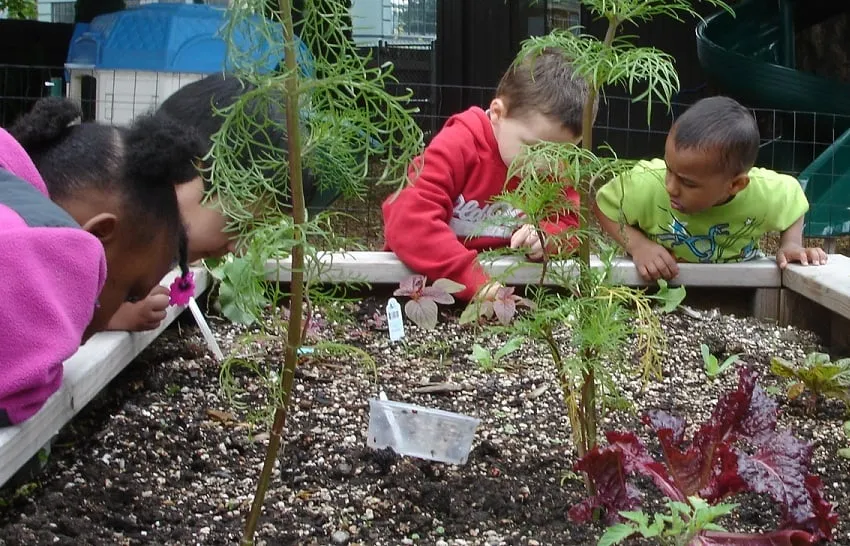 Local lawn mowing service in Portland, OR - Dean's Residential