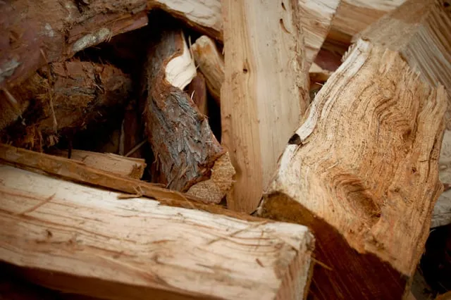 Reliable landscaping services for homes across Portland, OR - Dean's Residential