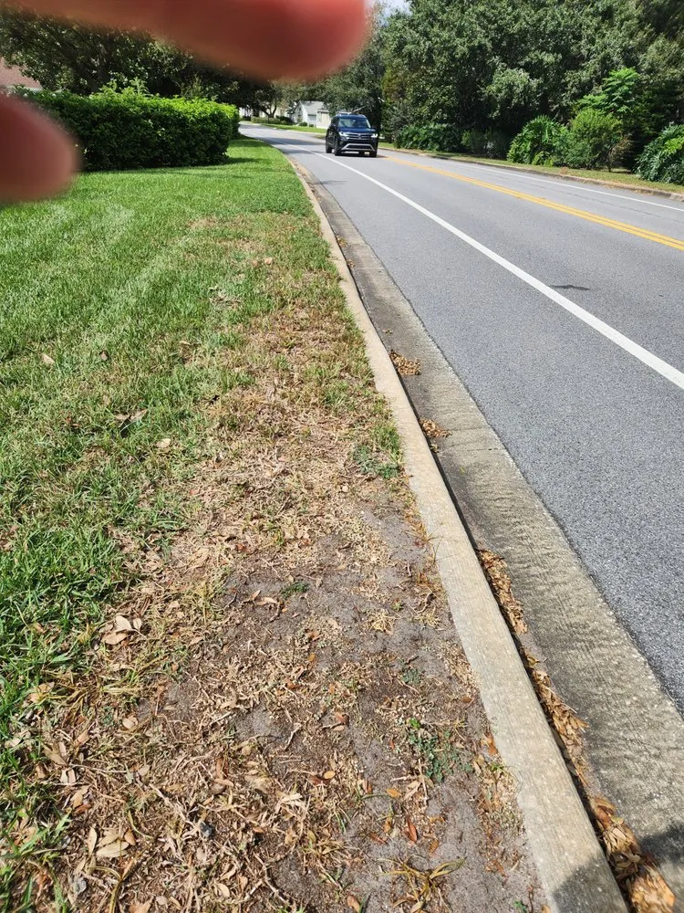 Expert yard maintenance in Leesburg, FL - Dean's Services