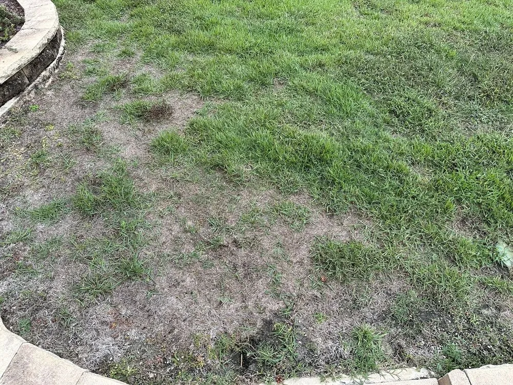 Local landscape installation for beautiful yards across Leesburg, FL - Dean's Services