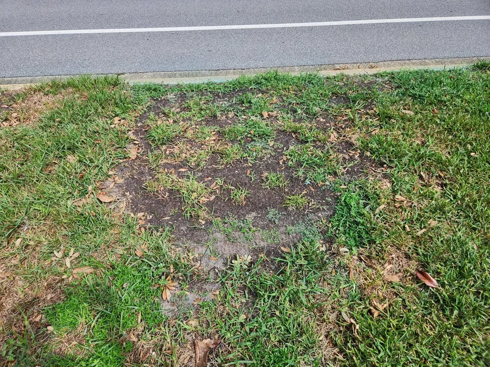 Affordable landscape design experts serving Leesburg, FL - Dean's Services