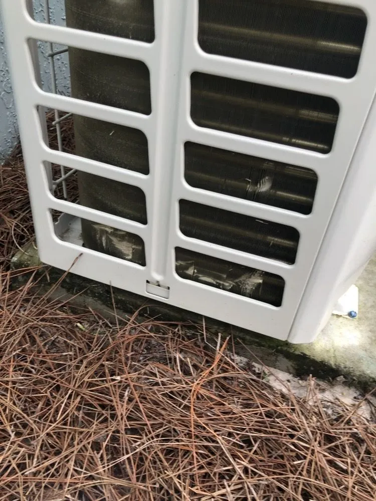 Trusted yard maintenance in Leesburg, FL by Dean's Services