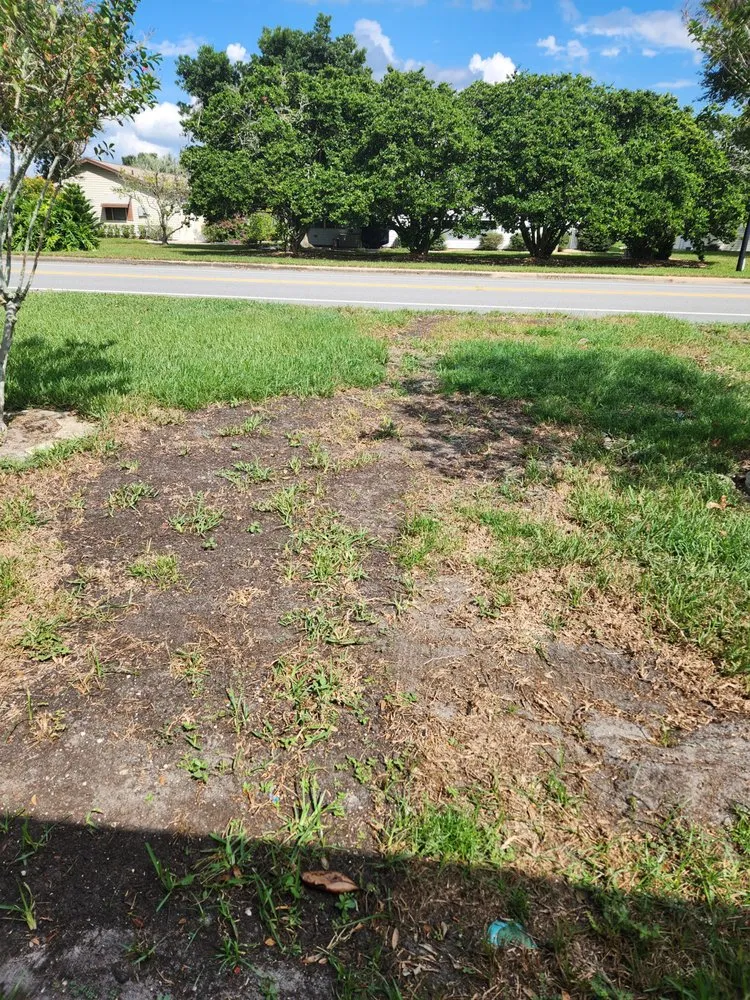 Local landscaping services experts serving Leesburg, FL - Dean's Services