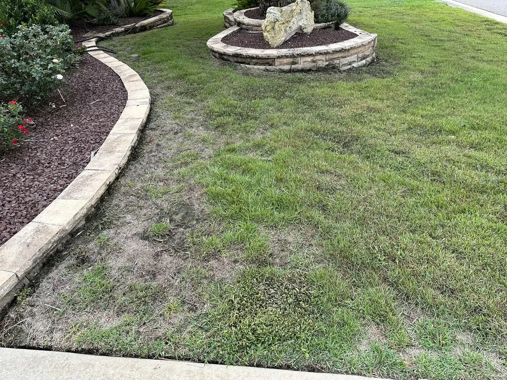 Trusted lawn mowing service in Leesburg, FL by Dean's Services