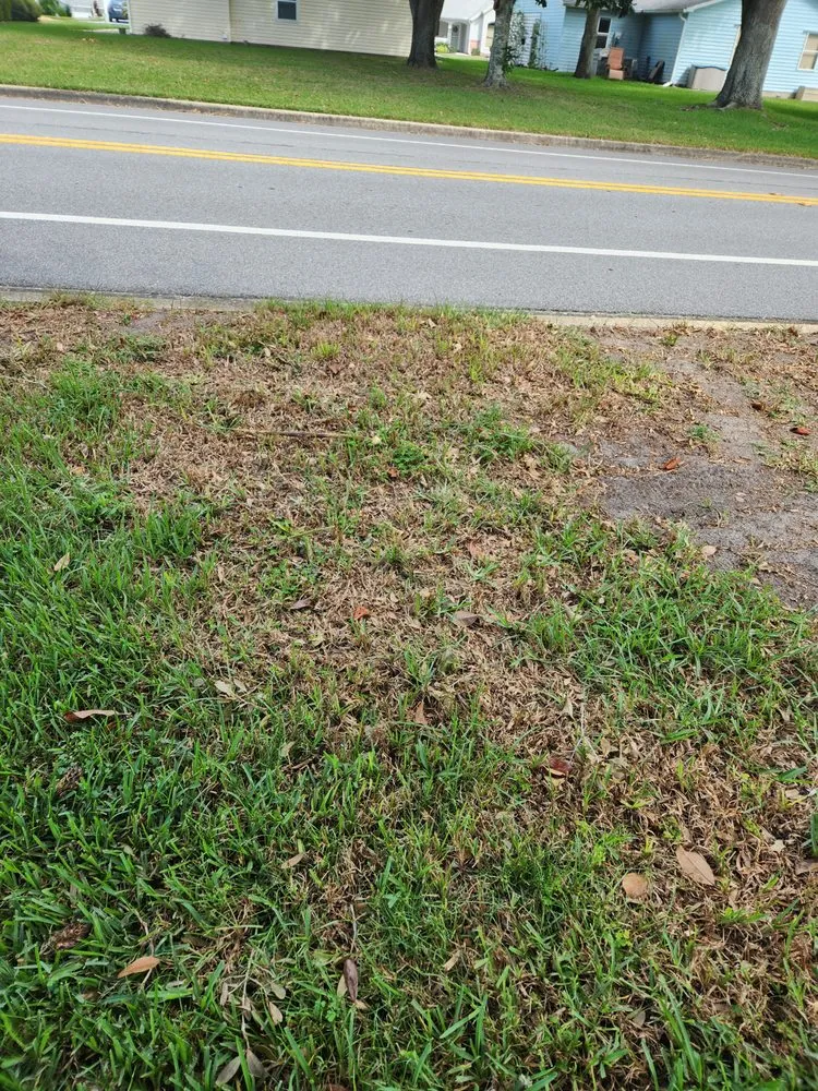 Trusted yard cleanup service experts serving Leesburg, FL - Dean's Services