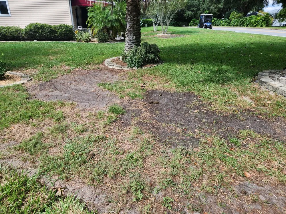 Custom landscape design for outdoor upgrades in Leesburg, FL by Dean's Services