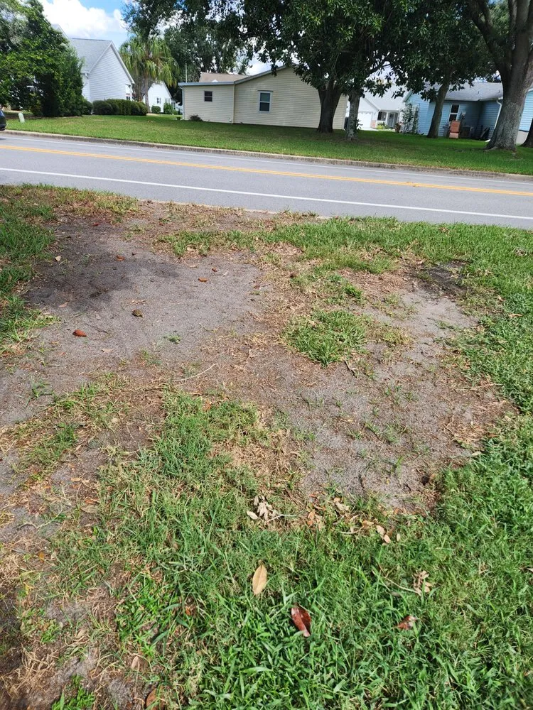 Trusted residential landscaping in Leesburg, FL by Dean's Services