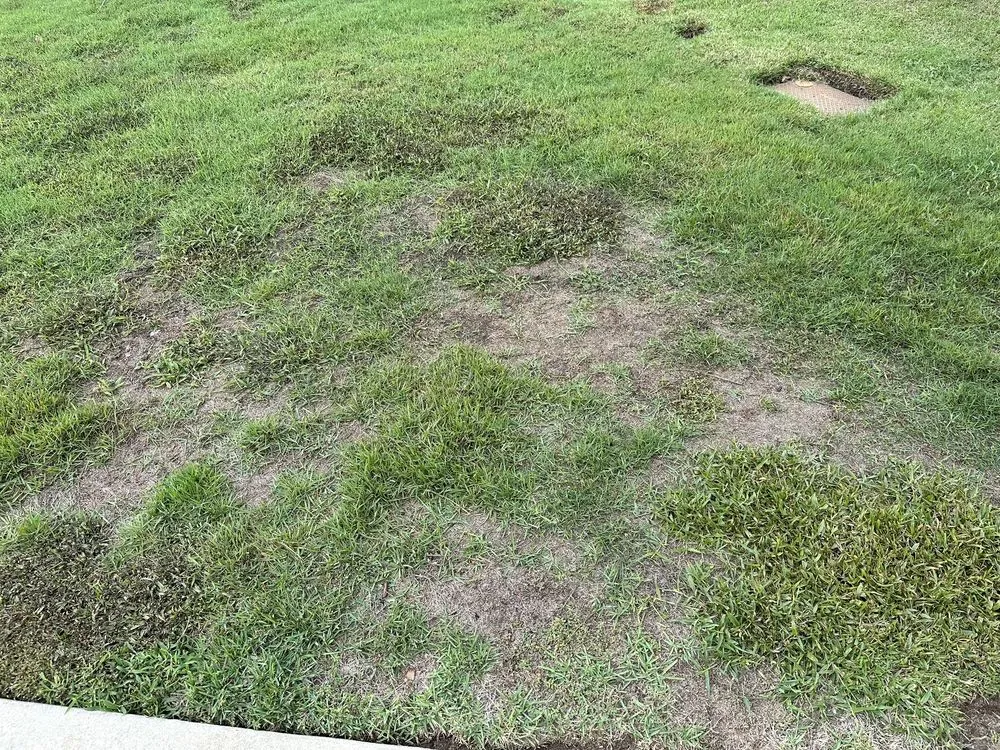 Top-rated lawn care service near you across Leesburg, FL - Dean's Services