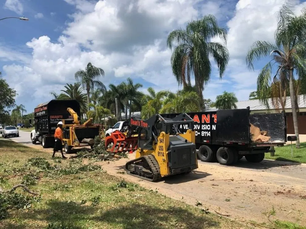 Local landscape installation in Venice, FL by Deans Tree Service and Paver Division