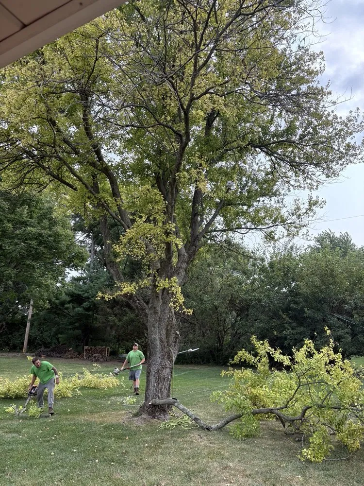 Top-rated landscape design experts serving Springfield, OH - Deans Tree Service